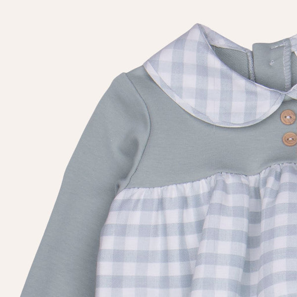 Ranita cuadros verdes