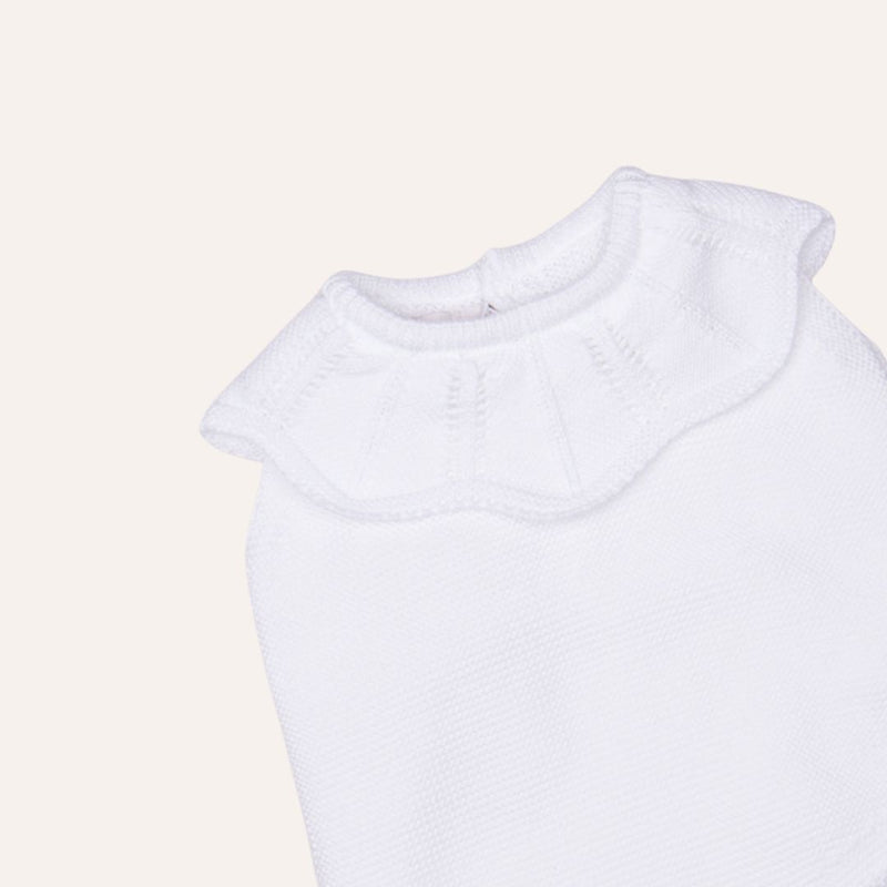 Ranita punto volante ondas